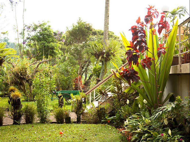 Bird Of Paradise Hotel Goroka Extérieur photo